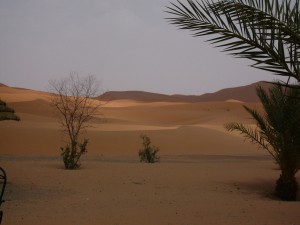 die Wüste vor der Haustür
